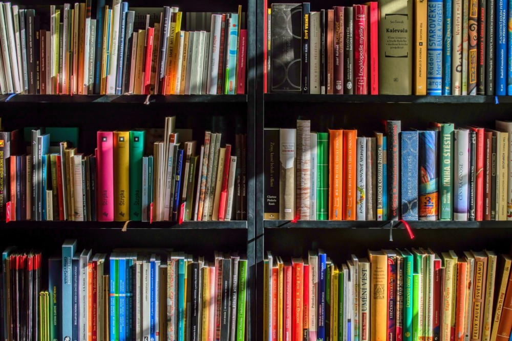Valga Keskraamatukogu ootab Sooru haruraamatukogusse rõõmsameelset ja teotahtelist spetsialisti Tööülesanded lugejateenindus, sh lugemisnõustamine, infopäringut